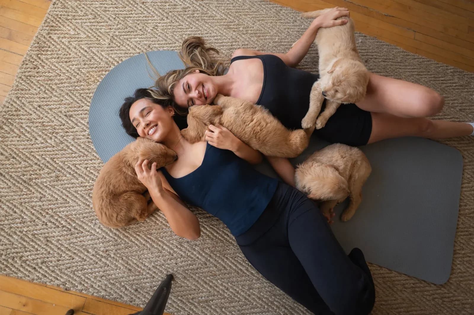 Puppysphere puppy yoga class
