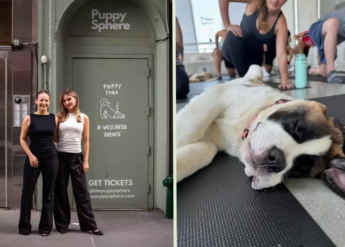 Puppysphere puppy yoga class